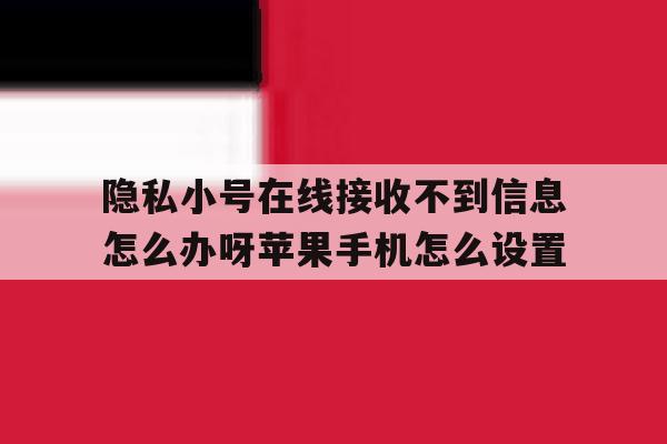 隐私小号在线接收不到信息怎么办呀苹果手机怎么设置的简单介绍 隐私小号在线接收不到信息怎么办呀苹果手机怎么设置的简单介绍