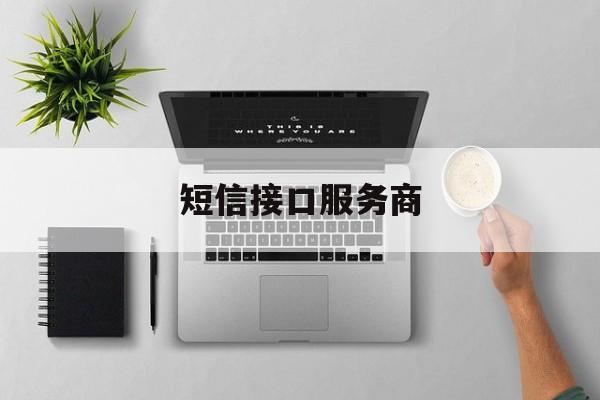 短信接口服务商 短信接口服务商