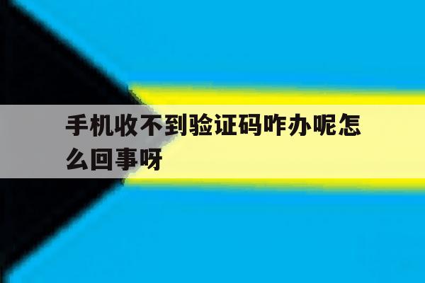 手机收不到验证码咋办呢怎么回事呀 手机收不到验证码咋办呢怎么回事呀