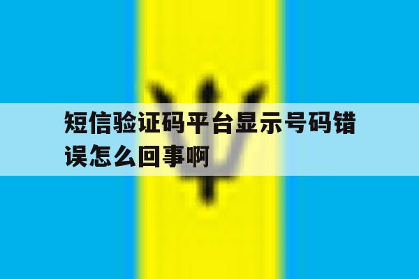 短信验证码平台显示号码错误怎么回事啊的简单介绍 短信验证码平台显示号码错误怎么回事啊的简单介绍