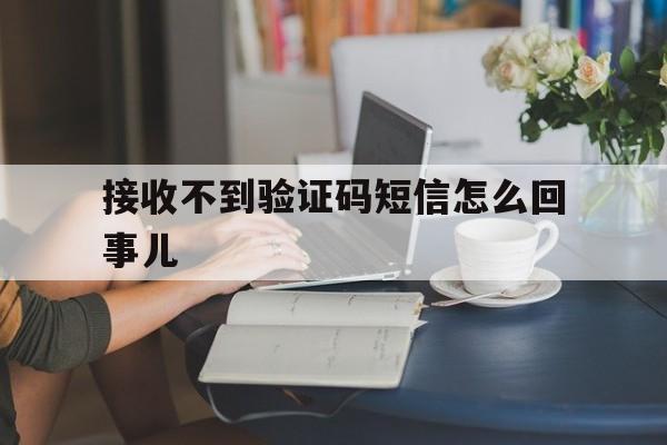 接收不到验证码短信怎么回事儿 接收不到验证码短信怎么回事儿