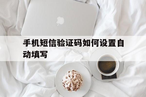 手机短信验证码如何设置自动填写 手机短信验证码如何设置自动填写