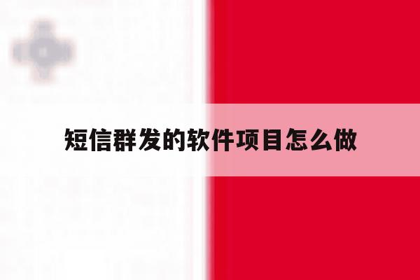 短信群发的软件项目怎么做 短信群发的软件项目怎么做
