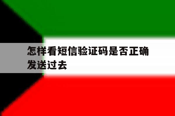 怎样看短信验证码是否正确发送过去 怎样看短信验证码是否正确发送过去