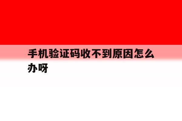 手机验证码收不到原因怎么办呀 手机验证码收不到原因怎么办呀