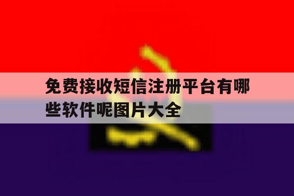 免费接收短信注册平台有哪些软件呢图片大全