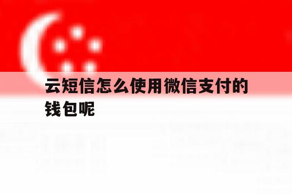 云短信怎么使用微信支付的钱包呢 云短信怎么使用微信支付的钱包呢