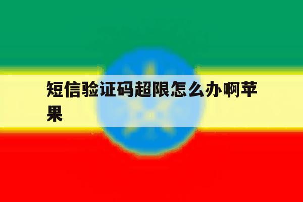 短信验证码超限怎么办啊苹果 短信验证码超限怎么办啊苹果