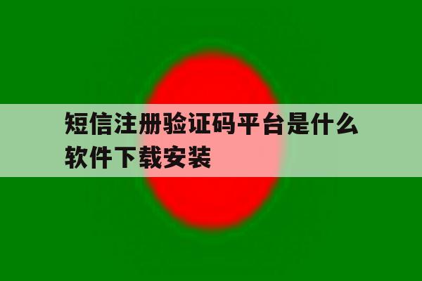 短信注册验证码平台是什么软件下载安装