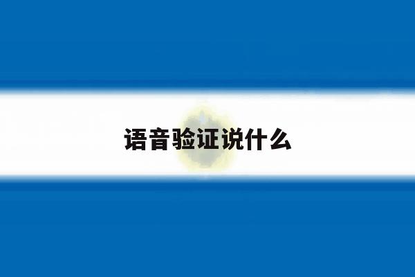 语音验证说什么 语音验证说什么