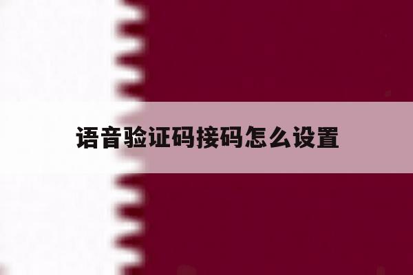 语音验证码接码怎么设置 语音验证码接码怎么设置