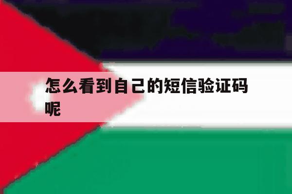 怎么看到自己的短信验证码呢 怎么看到自己的短信验证码呢