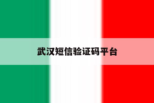 武汉短信验证码平台 武汉短信验证码平台