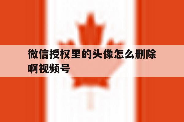 关于微信授权里的头像怎么删除啊视频号的信息 关于微信授权里的头像怎么删除啊视频号的信息