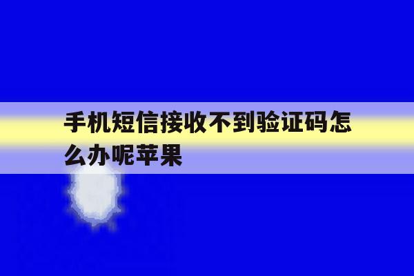 手机短信接收不到验证码怎么办呢苹果 手机短信接收不到验证码怎么办呢苹果