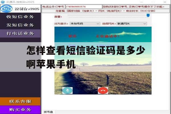 怎样查看短信验证码是多少啊苹果手机 怎样查看短信验证码是多少啊苹果手机