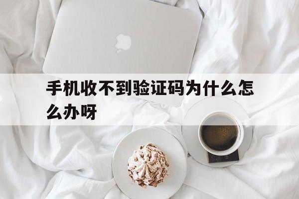 手机收不到验证码为什么怎么办呀 手机收不到验证码为什么怎么办呀